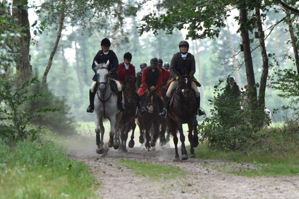 Feld reitet auf die Sandgrube zu - Haren August 2024 Feld reitet auf die Sandgrube zu - Haren August 2024